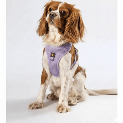 Pawstar Dog PAWSTAR Air Mesh Harness Lilac XL