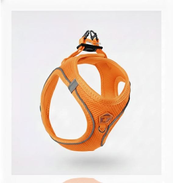 Pawstar Dog PAWSTAR Air-Mesh Harness Orange XL