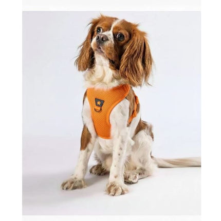 Pawstar Dog PAWSTAR Air-Mesh Harness Orange XL