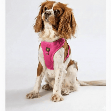 Pawstar Dog PAWSTAR Air Mesh Harness Pink XL