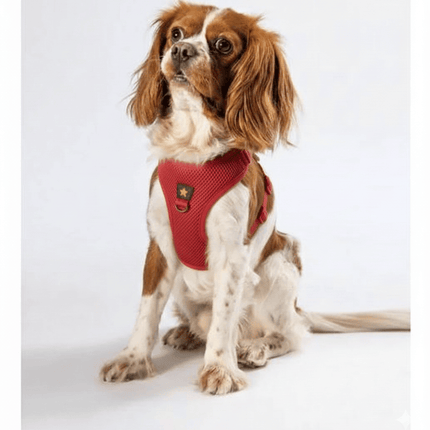 Pawstar Dog PAWSTAR Air Mesh Harness Red XL
