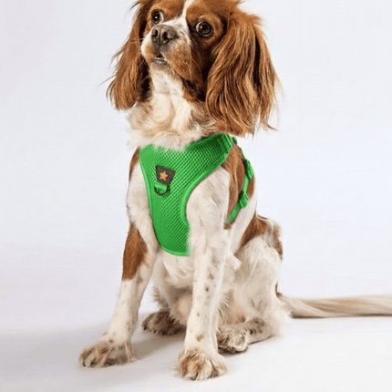 Pawstar Dog Pawstar Large GreenAir Mesh Dog Harness Neck 42-54cm And Waist 48-54 cm