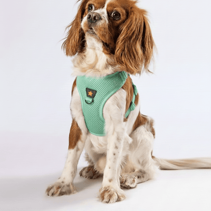 Pawstar Dog Pawstar Large Mint Air Mesh Dog Harness Neck 42-54cm And Waist 48-54 cm