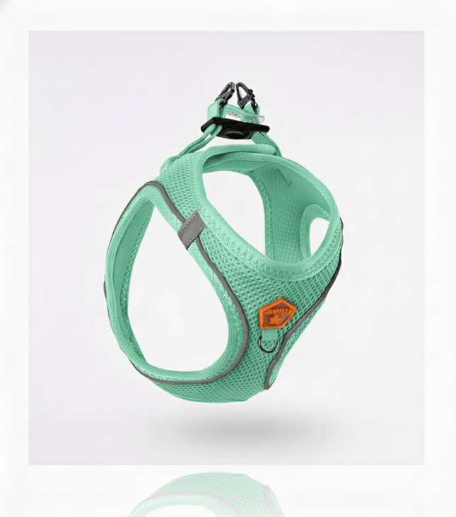 Pawstar Dog Pawstar Large Mint Air Mesh Dog Harness Neck 42-54cm And Waist 48-54 cm