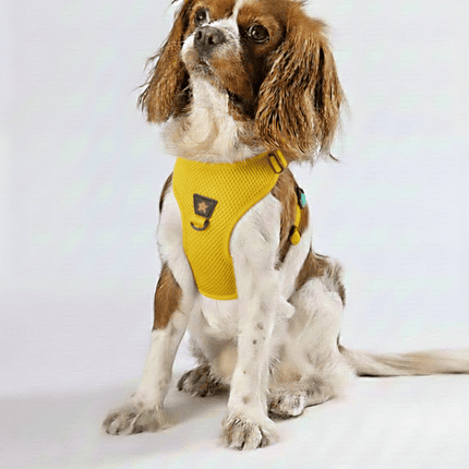 Pawstar Dog Pawstar Large Yellow Air Mesh Dog Harness Neck 42-54 cm And Waist 48 - 54 cm