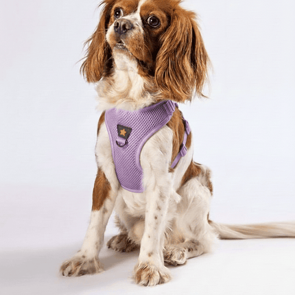 Pawstar Dog Pawstar Light Purple 3XS Air Mesh Dog Harness Neck 20-24cm And Waist 24-28cm