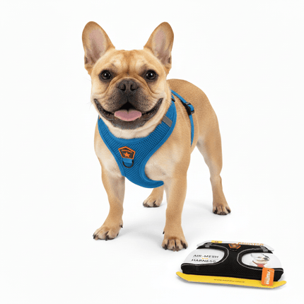 Pawstar Dog Pawstar Medium  Blue Air Mesh Dog Harness Neck 32-34cm & Waist 44-48cm