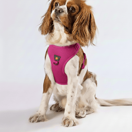 Pawstar Dog Pawstar Medium Fuchsia Air Mesh Dog Harness Neck 32-34cm And Waist 44-48cm