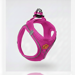 Pawstar Dog Pawstar Medium Fuchsia Air Mesh Dog Harness Neck 32-34cm And Waist 44-48cm
