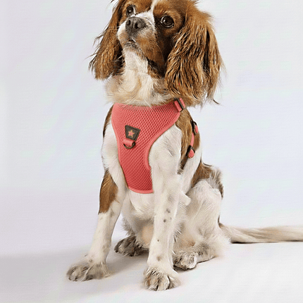 Pawstar Dog Pawstar Medium Light Red Air Mesh Dog Harness Neck 32-34cm And Waist 44-48cm