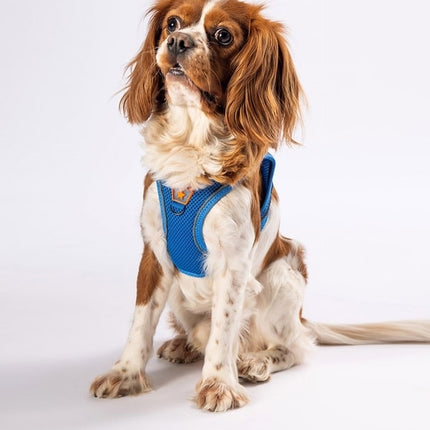 Pawstar Blue XL Air Mesh Dog Harness Neck 42-54cm And Waist 54-60cm