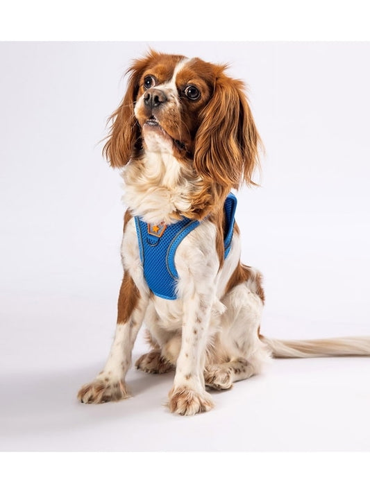 Pawstar Blue 3XS Air Mesh Dog Harness Neck 20-24cm And Waist 24-28cm