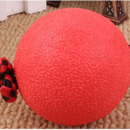 Pawzilla Dog PawZilla Ball Toy With Rope
