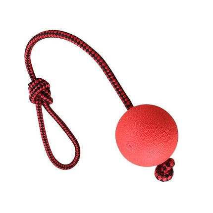 Pawzilla Dog PawZilla Ball Toy With Rope