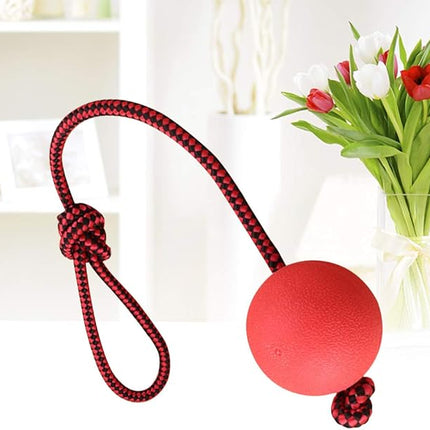 Pawzilla Dog PawZilla Ball Toy With Rope