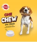 Pedigree Dog Pedigree Good Chew Beef Flavor for Medium Dogs 10-25kg 83g Dog Treats