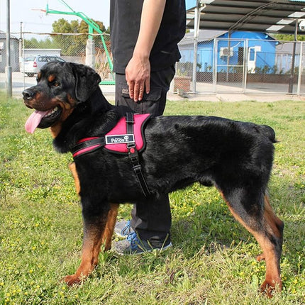pet dog Dog Pet Dog Reflective No Pull Dog Harness Comfort Series Red Size M