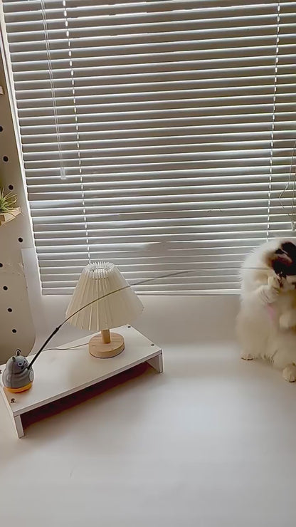 Spinning Cat Teaser Toy 360° – Hands-Free and Interactive Play