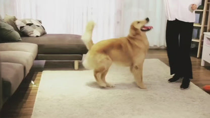 Pet Hair Dryer Cold And Hot Air