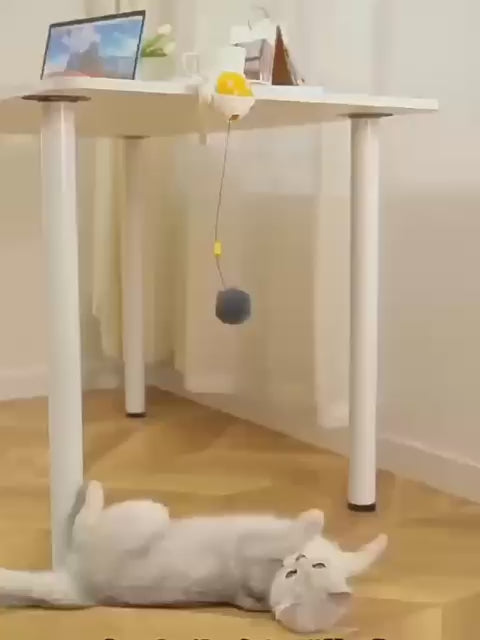 لعبة سمكة الحيوانات الأليفة من CAtyy بتصميم مختلط 