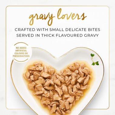 Purina Cat Purina Fancy Feast Gravy Lovers Cat Food SALMON Flavor in Seafood Broth 85g