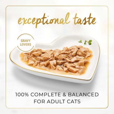 Purina Cat Purina Fancy Feast Gravy Lovers Cat Food SALMON Flavor in Seafood Broth 85g