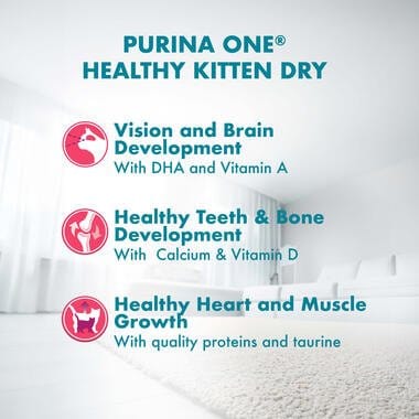 Purina Cat Purina ONE Dry Food for Kitten With Chicken 200 gr