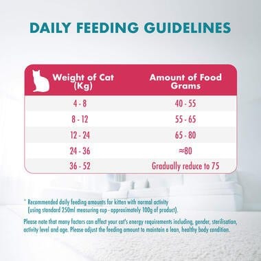 Purina Cat Purina ONE Dry Food for Kitten With Chicken 200 gr