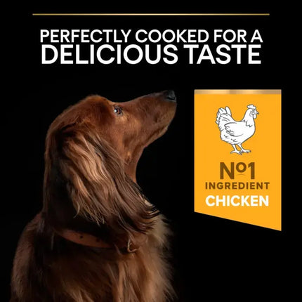 Purina Dog Purina Pro Plan  Dry Food with Chicken for  Mini Breed Adult Dogs 3 kg