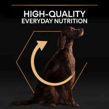 Purina Dog Purina Pro Plan Everyday Nutrition Dry Food with Chicken for Large Athletic Adult Dogs 14 kg
