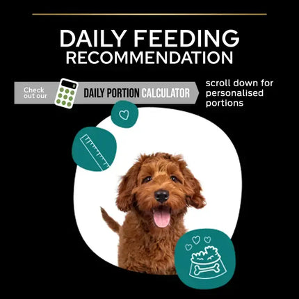 Purina Dog Purina Pro Plan Healthy Start Dry Food with Chicken for Athletic Large Breed Puppies 12 kg