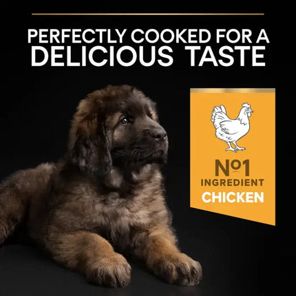 Purina Dog Purina Pro Plan Healthy Start Dry Food with Chicken for Large Breed Puppies 3 kg