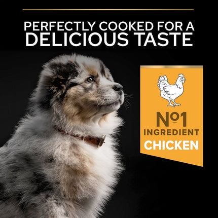 Purina Dog Purina Pro Plan Opti Start Dry Food with Chicken for Medium Breed Puppies 12 kg