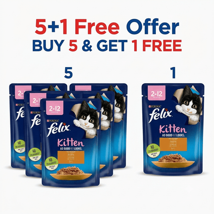 Purina FELIX Cat Purina FELIX® As Good As it Looks Chicken in Jelly Wet Food 85gm 5+1 Free Offer