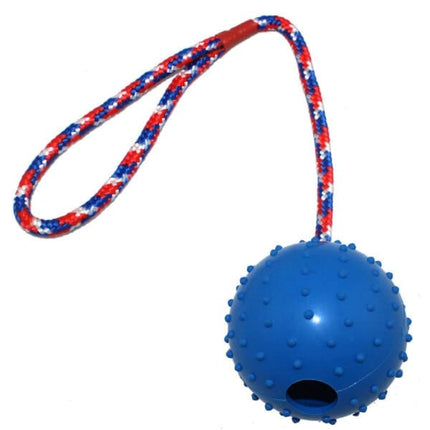 QasisPet Dog Qasispet Rope With bule Ball