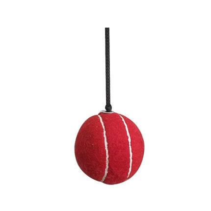 QasisPet Dog Qasispet Rope With Red Ball