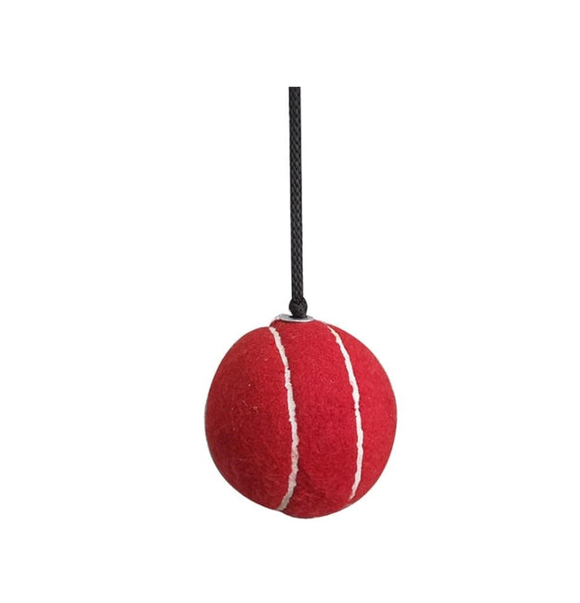 QasisPet Dog Qasispet Rope With Red Ball