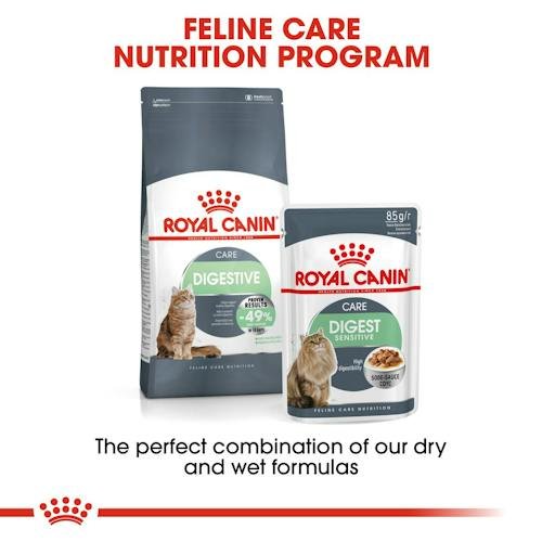 Royal Canin Digestive Care Dry Food for Adult Cats 10 kg