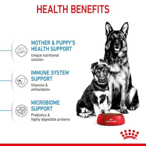 Royal Canin Starter Dry Food for Maxi Breed Mother and Baby Dogs 4 kg