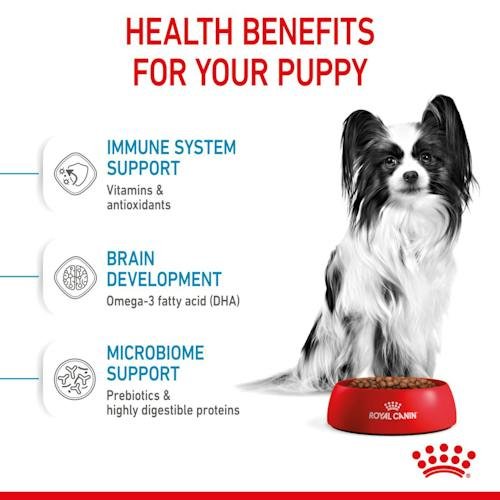 Royal Canin Dry Food for XS Breed Puppies Up to 10 Months up to 4 kg 1.5 kg