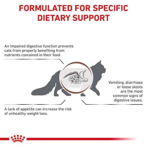 طعام جاف من رويال كانين للقطط من النوع GastroIntestinal Feline 2K