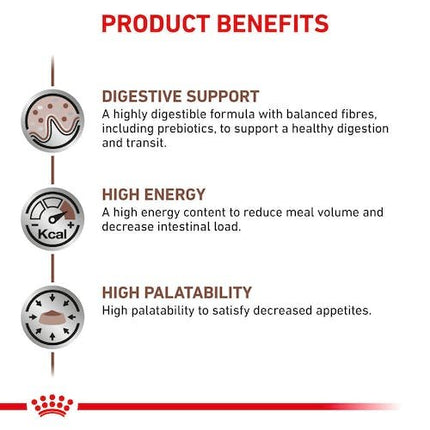 Royal Canin dry food for Cat GastroIntestinal Feline 400 gr