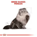 Royal Canin Cat Royal Canin Adult Persian Wet Cat Food Mousse 85g