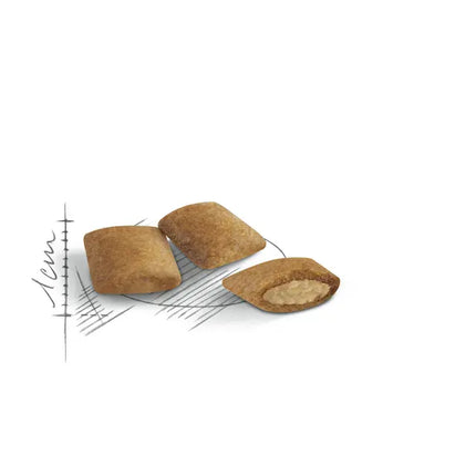 Royal Canin Cat Royal Canin Ageing Support Dry Food for Senior Cats 12+ Years 2 kg
