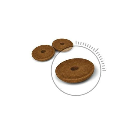 Royal Canin Cat Royal Canin Digestive Care Dry Food for Adult Cats 400 gr