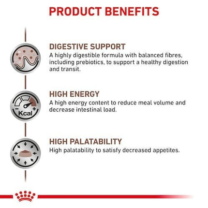 Royal Canin Cat Royal Canin dry food for Cat GastroIntestinal Feline 2K