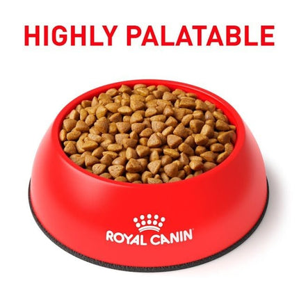 Royal Canin Cat Royal Canin Feline Calm Dry Food for cat 2k
