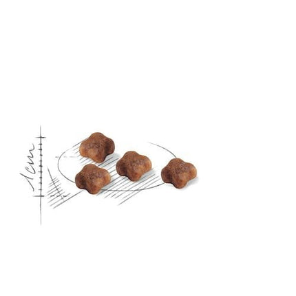 Royal Canin Cat Royal Canin First Age Dry Food for Mother and Baby Cats 1-4 Months 2 kg