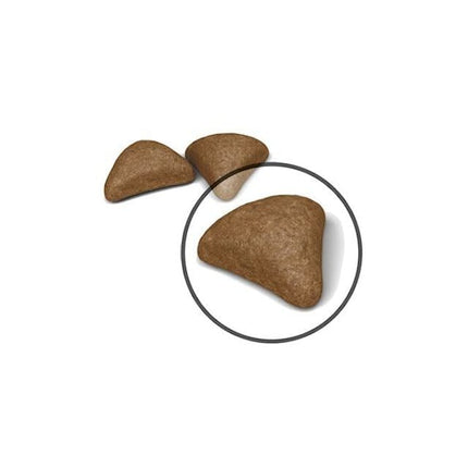 Royal Canin Cat Royal Canin Hairball Care Dry Food for Adult Cats 2 kg