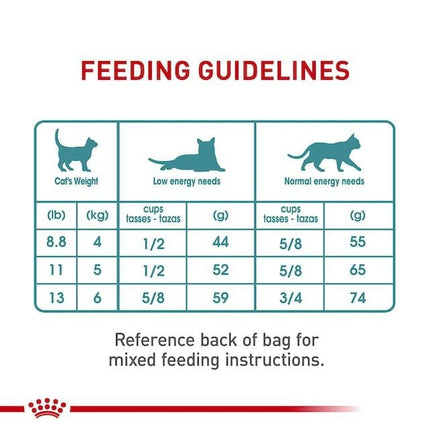 Royal Canin Cat Royal Canin Hairball Care Dry Food for Adult Cats 400 gr